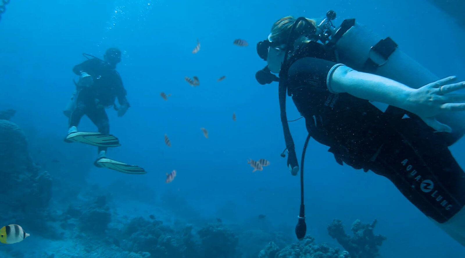 Centre de plongée -Tahiti - Moorea - Polynésie française - TOP DIVE - La revue de Kathleen - Blog Lifestyle et voyage à Paris