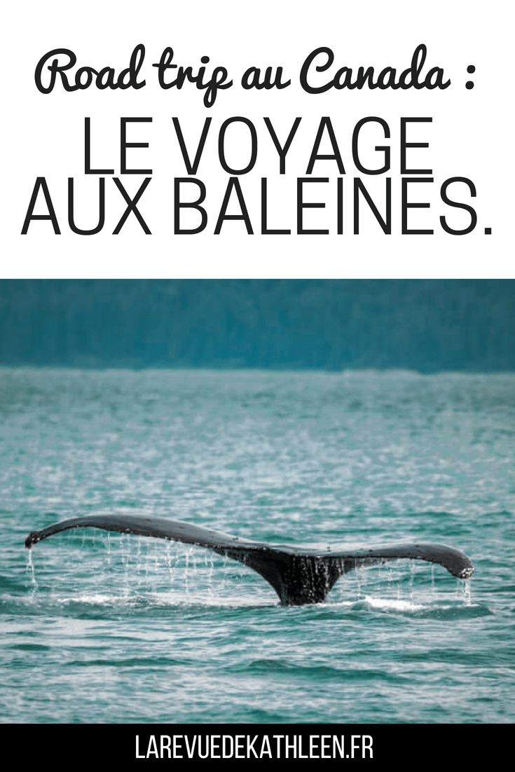 Road trip au Canada : Le voyage aux baleines - La revue de kathleen - Blog Lifestyle