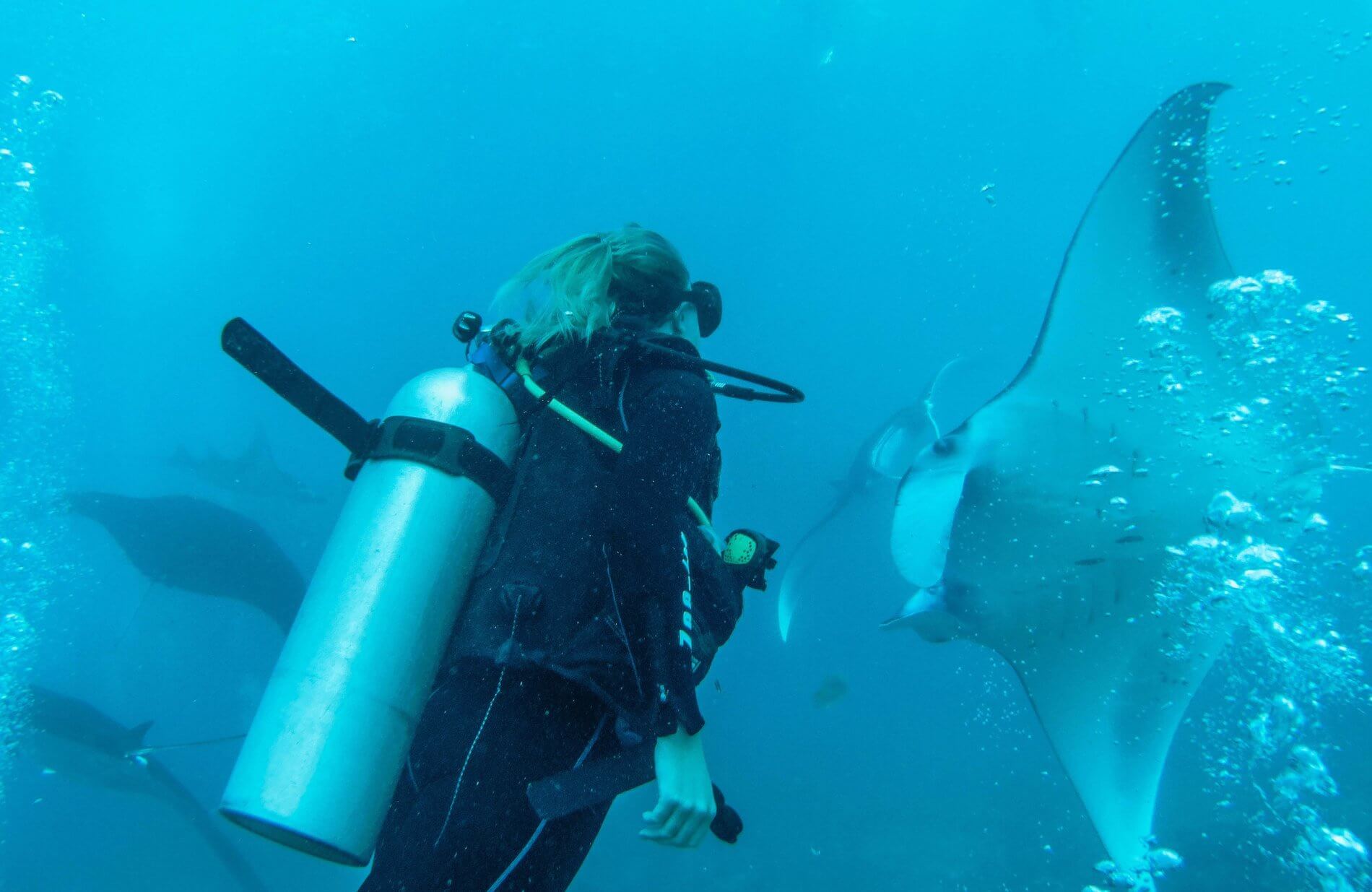 Raies Manta-Nusa Penida-Indonésie-La revue de Kathleen-Blog-Lifestyle-voyage-Paris