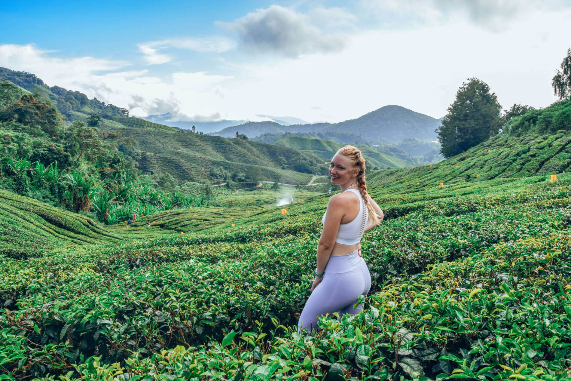 Cameron Highland-Malaisie-La revue de Kathleen-Blog-Lifestyle-voyage-Paris