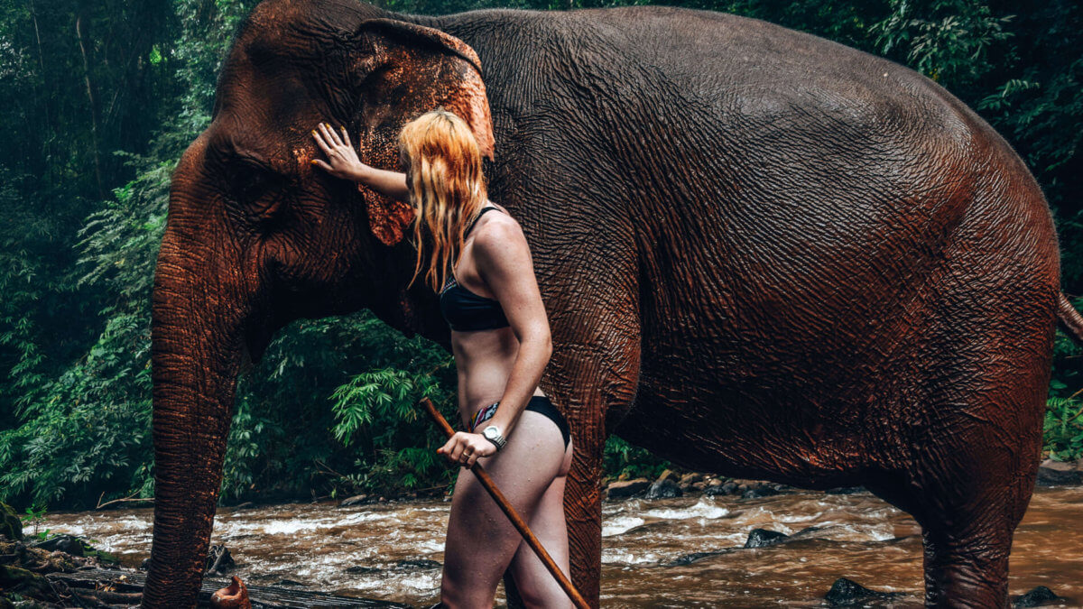 elephant-Mondulkiri-Cambodge-Bunong-project-La revue de Kathleen-Blog-Lifestyle-voyage-Paris